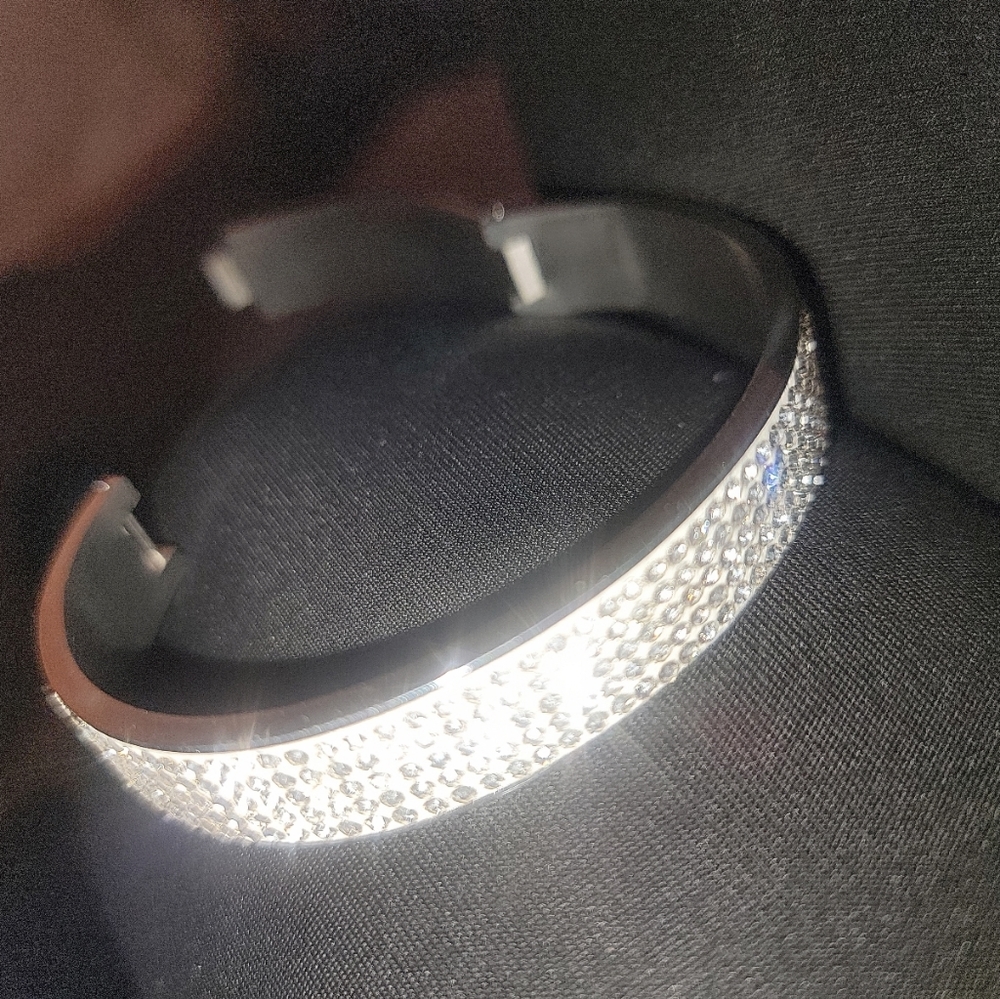 Stainless Steel Bangle Bracelet
